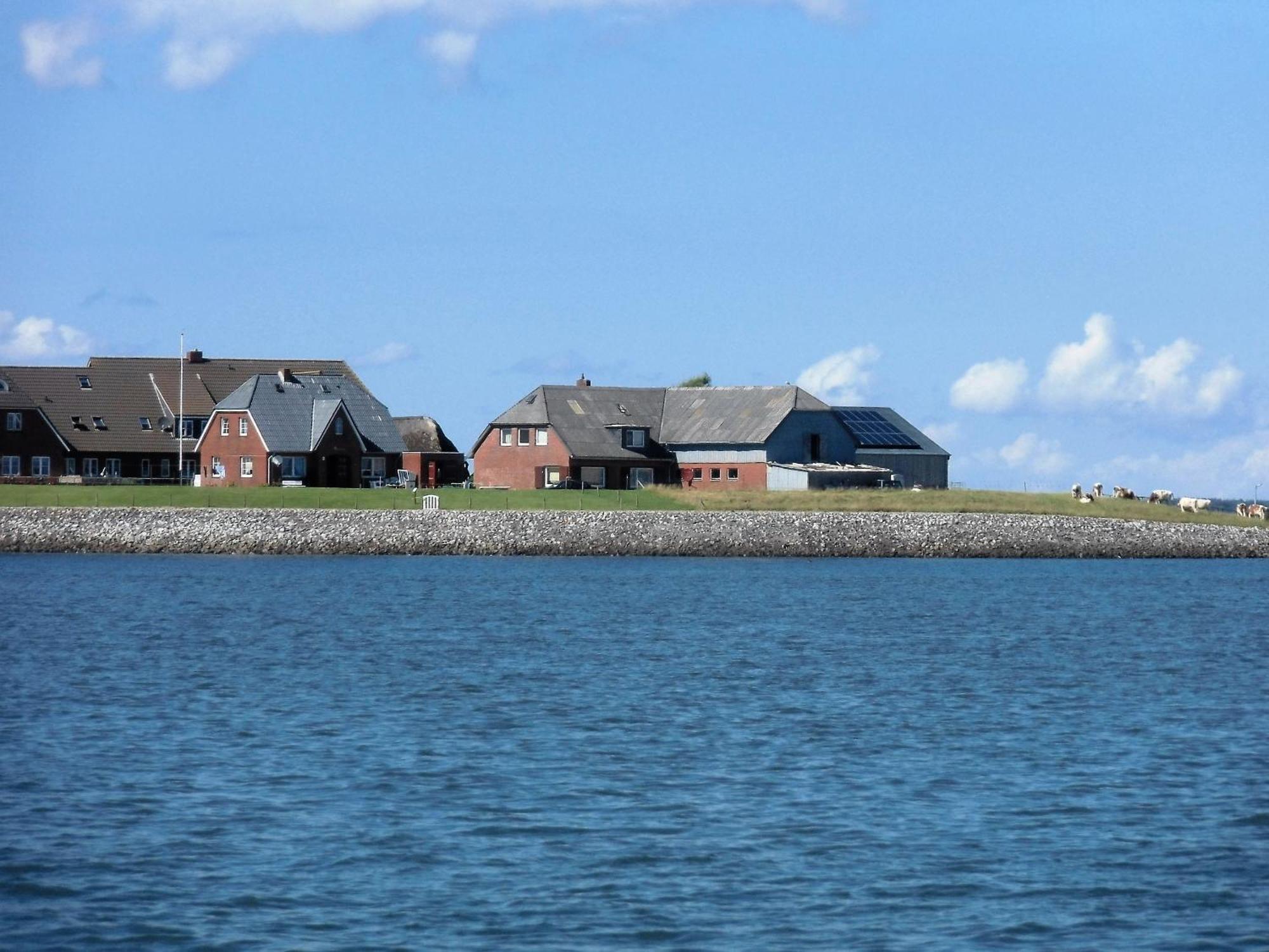Haus Halligblick, Ferienwohnungen Am Wattenmeer, Whg Hamburger Hallig Дагебюль Екстер'єр фото